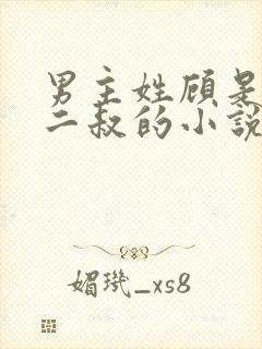 男主姓顾是女主二叔的小说