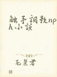 触手调教np高h小说