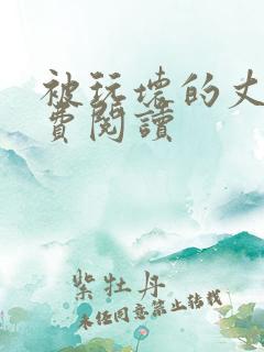 被玩坏的丈夫免费阅读