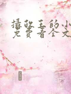 摄政王的小闲妻免费看全文