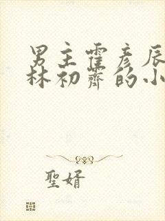 男主霍彦辰女主林初霁的小说