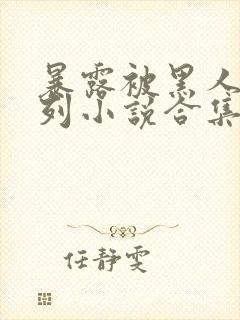 暴露被黑人强系列小说合集