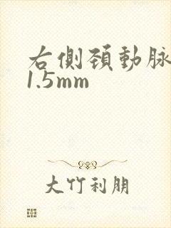 右侧颈动脉斑块1.5mm