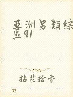 亚洲另类综合一区91