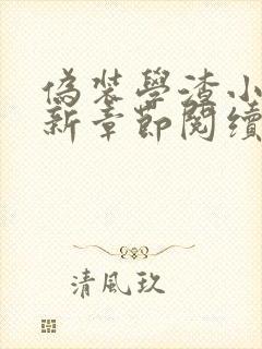 伪装学渣小说最新章节阅续