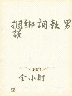 捆绑调教男同小说