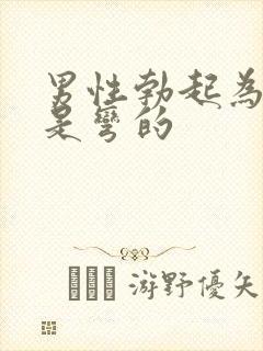 男性勃起为什么是弯的