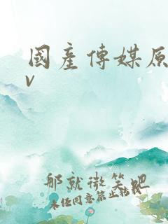 国产传媒原创av