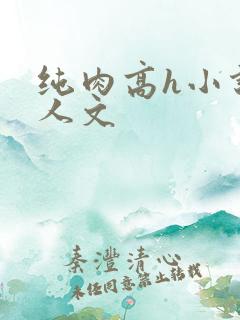 纯肉高h小说同人文