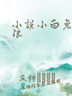 小说小白兔大灰狼