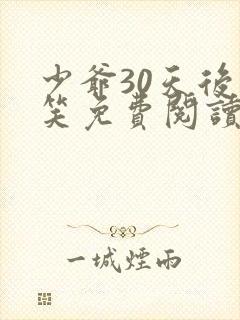 少爷30天后会笑免费阅读全文