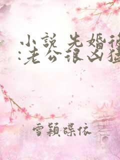 小说 先婚后爱:老公很凶猛