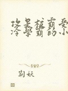 攻是校霸受是清冷学霸的小说