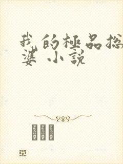 我的极品总裁老婆 小说