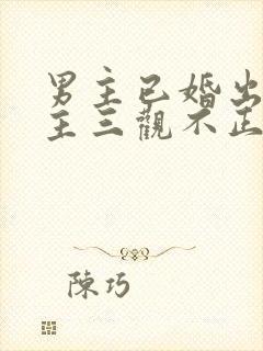 男主已婚出轨女主三观不正小说