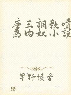 唐三调教喷水沦为肉奴小说