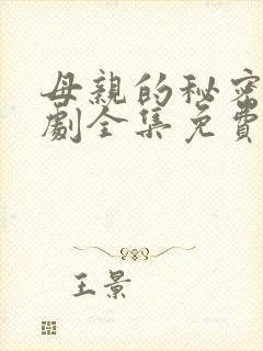 母亲的秘密电视剧全集免费观看