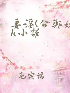 妻淫(公与媳7h小说