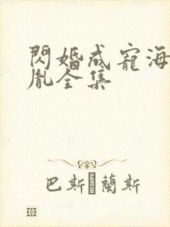 闪婚成宠海彤战胤全集