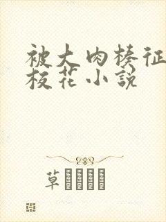 被大肉楱征服的校花小说