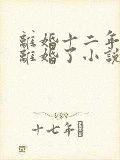 离婚十二年的他离婚了小说全文阅读