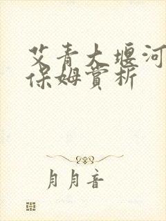 艾青大堰河我的保姆赏析