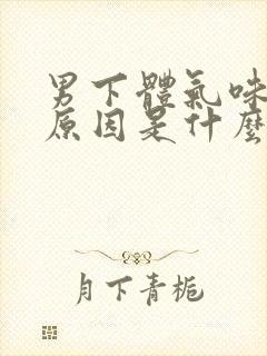 男下体气味重的原因是什么