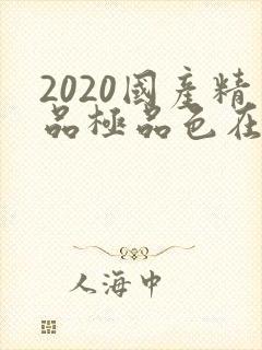2020国产精品极品色在线