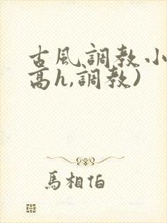 古风调教小说(高h,调教)