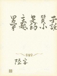 男主是质子女主穿越的小说