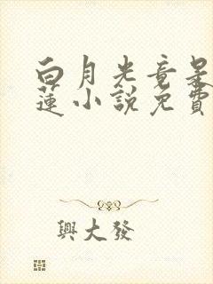 白月光竟是黑心莲小说免费阅读