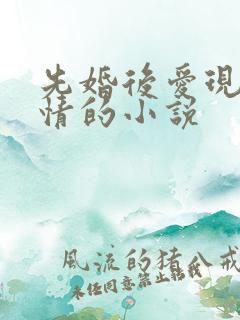 先婚后爱现代言情的小说