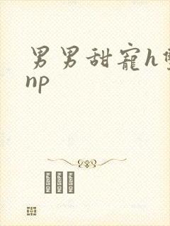 男男甜宠h双性np