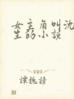 女主角叫沈念重生的小说