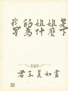 我的姐姐是大明星为什么下架