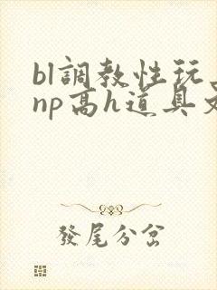 bl调教性玩具np高h道具文