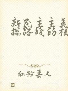 新民主主义革命总路线的核心问题是