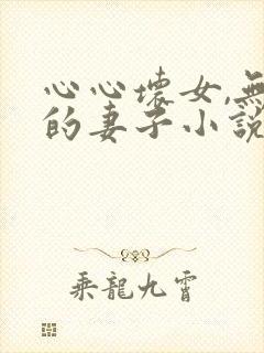 心心坏女,无能的妻子小说