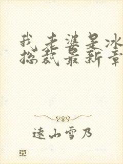 我老婆是冰山女总裁最新章节阅