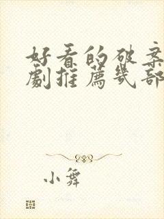 好看的破案电视剧推荐几部 前十名