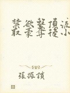 禁欲系顶流被强取豪夺后小说付萌萌