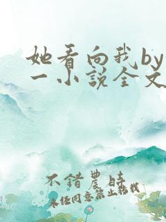 她看向我by徐一小说全文免费阅读