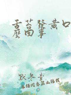 舌苔发黄口苦怎么回事