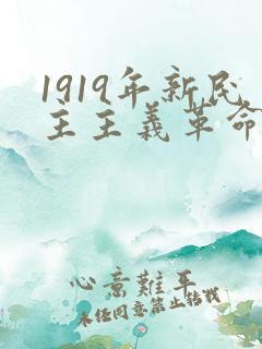 1919年新民主主义革命