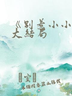 《别惹小小姐》大结局