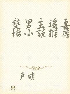 双男主追妻火葬场小说推荐