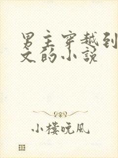 男主穿越到年代文的小说