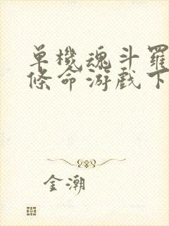 单机魂斗罗30条命游戏下载安卓版