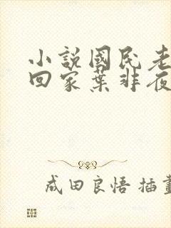 小说国民老公带回家叶非夜