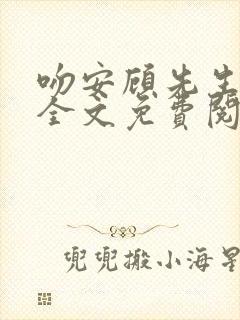 吻安顾先生小说全文免费阅读